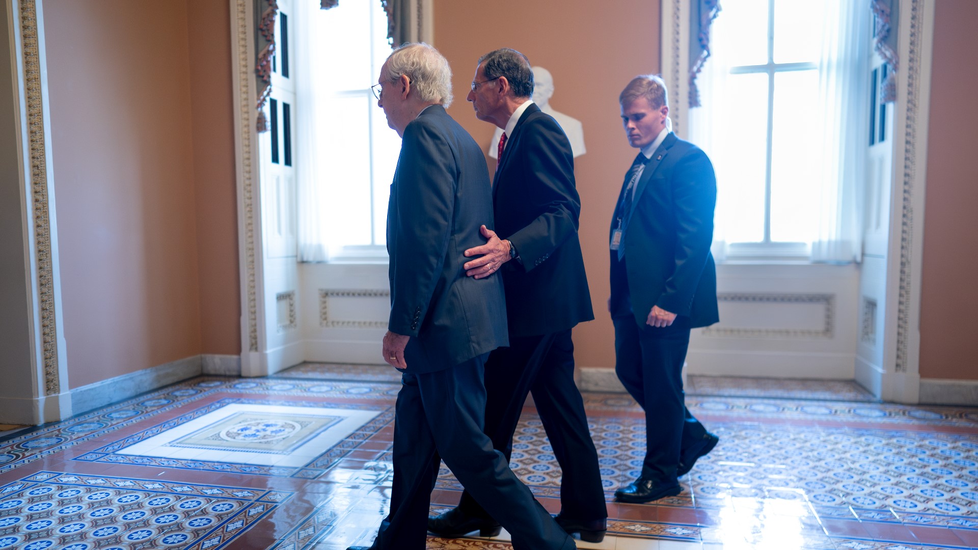 Mitch McConnell's health concerns, what happens if he retires?