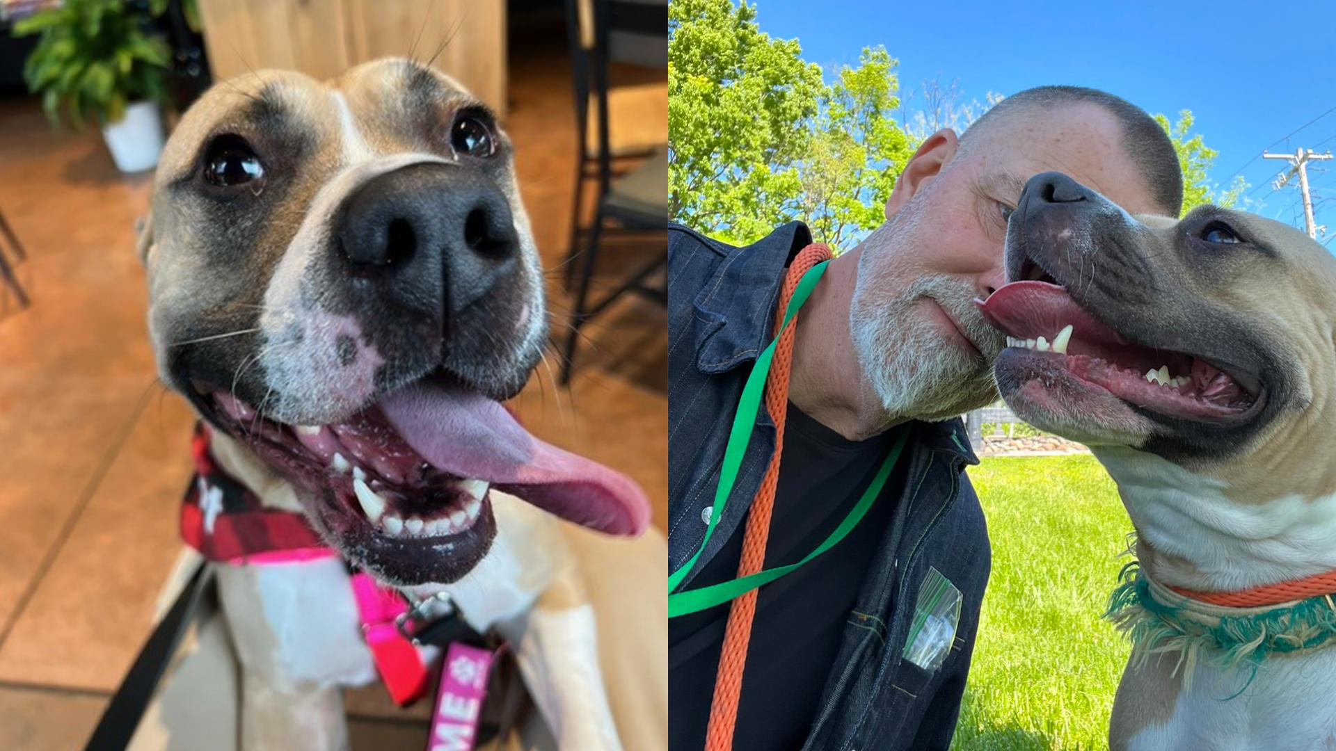 After a massively successful adoption event last weekend with Metro Animal Services there was one dog who was left behind. Here's her story.