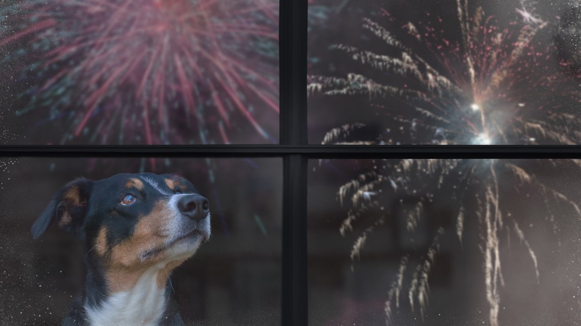 Fireworks cause stress for pets, Thunder Over Louisville tips - Vimarsana News