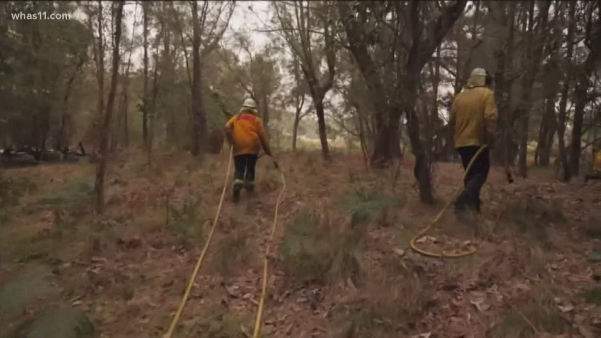 WHAS11's Abby Lutz got a local look at how she plans to help the Australian Wildfires.