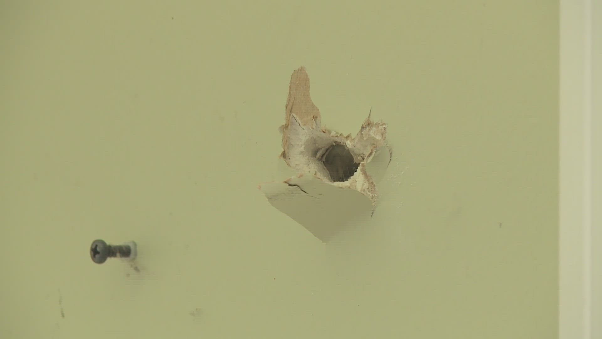 An Army veteran and his wife were shaken up after a stray bullet ended up in their living room.