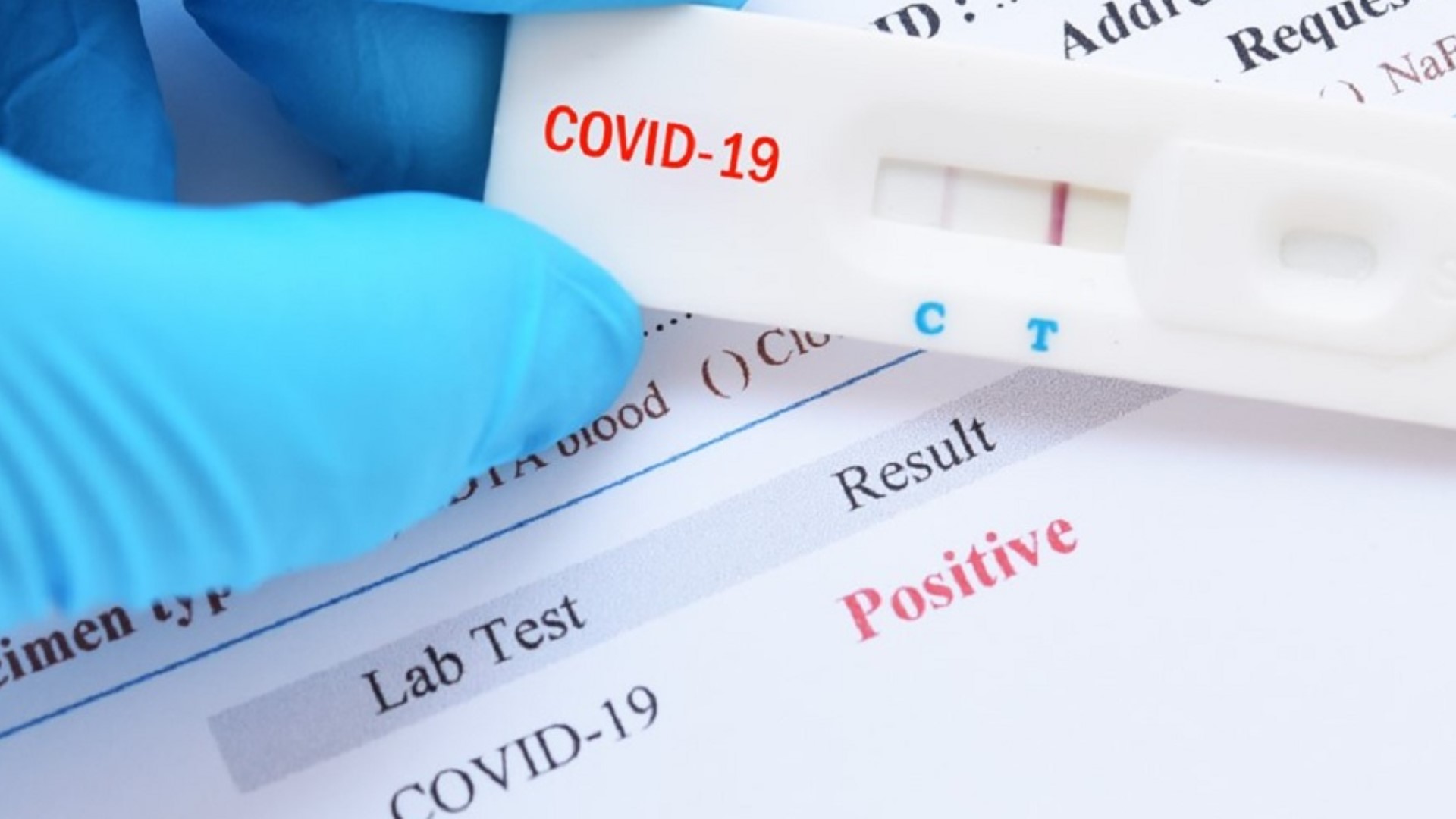 best covid rapid test