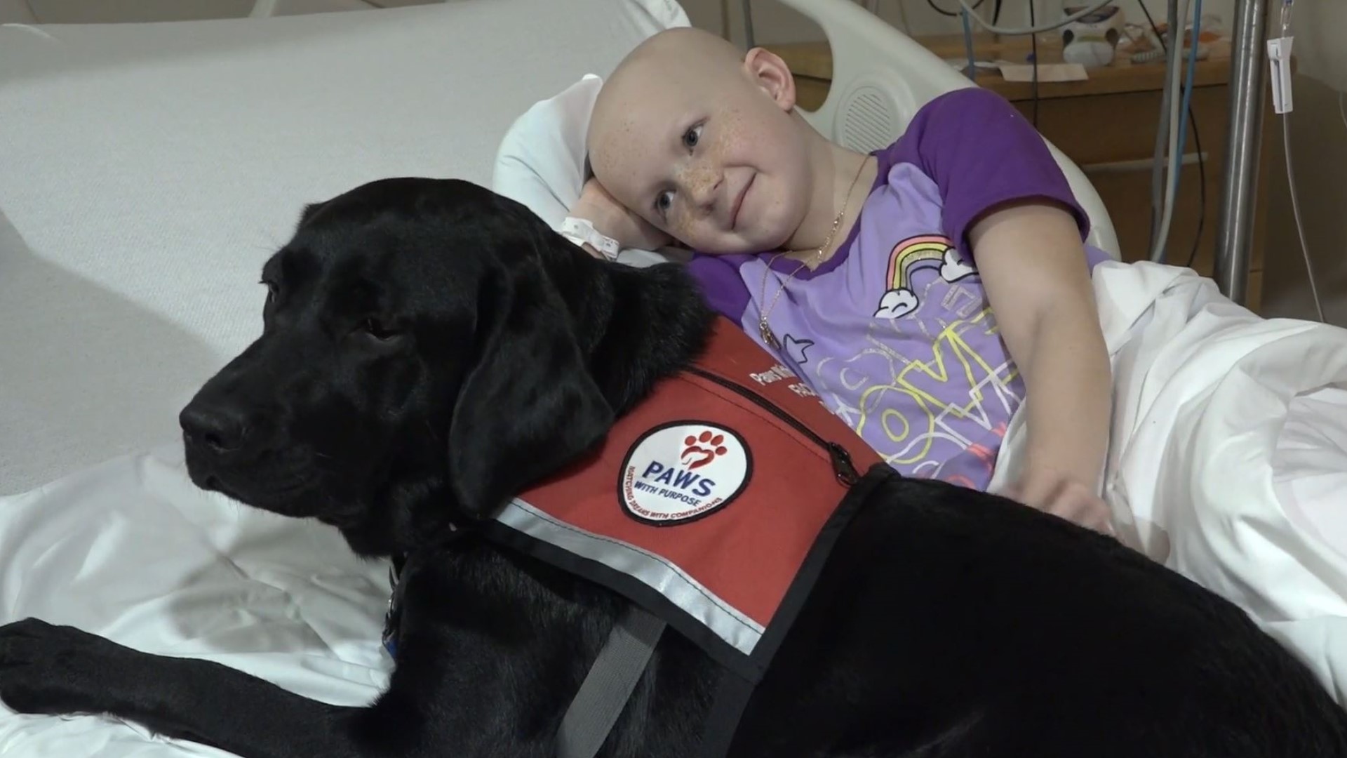 Cancer patients at Norton Children's Hospital now have a furry friend to lift their spirits.