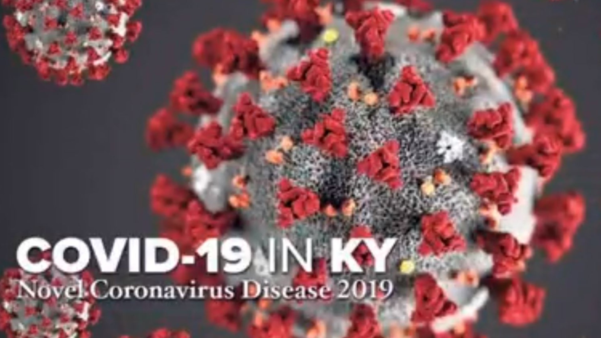 July 30: 621,206 coronavirus tests performed in Kentucky. The positivity rate currently at 5.66% and at least 7,590 Kentuckians have recovered from the coronavirus.
