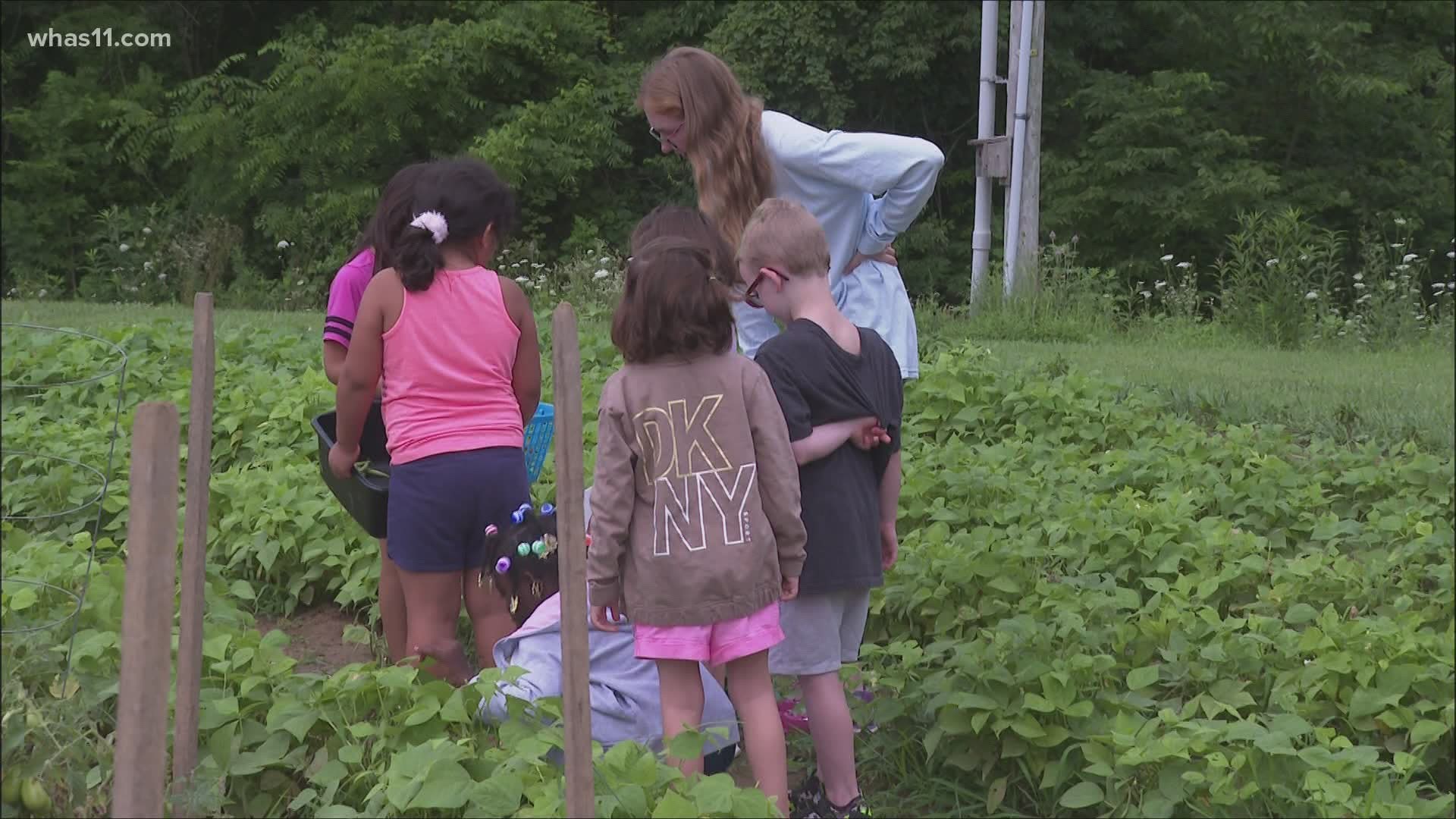Students who attend Wright Elementary are using gardening as a unique way to prevent the summer slide.