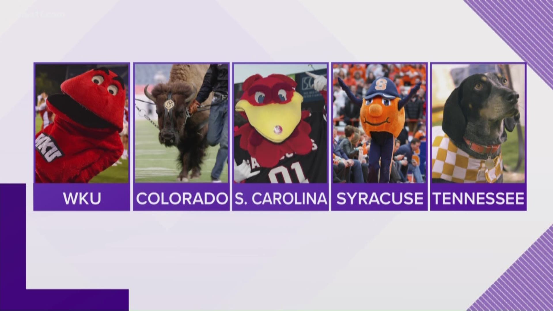 Sports Illustrated is celebrating college football's 150th season by ranking the top 10 all-time greatest mascots.