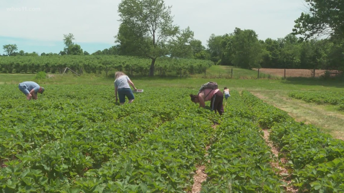 Indiana Huber's Orchard, Winery rolling despite challenges