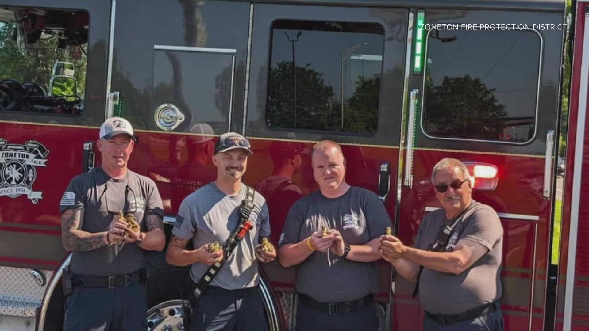 Zoneton Firefighters rescued a group of ducklings in Shepherdsville yesterday.