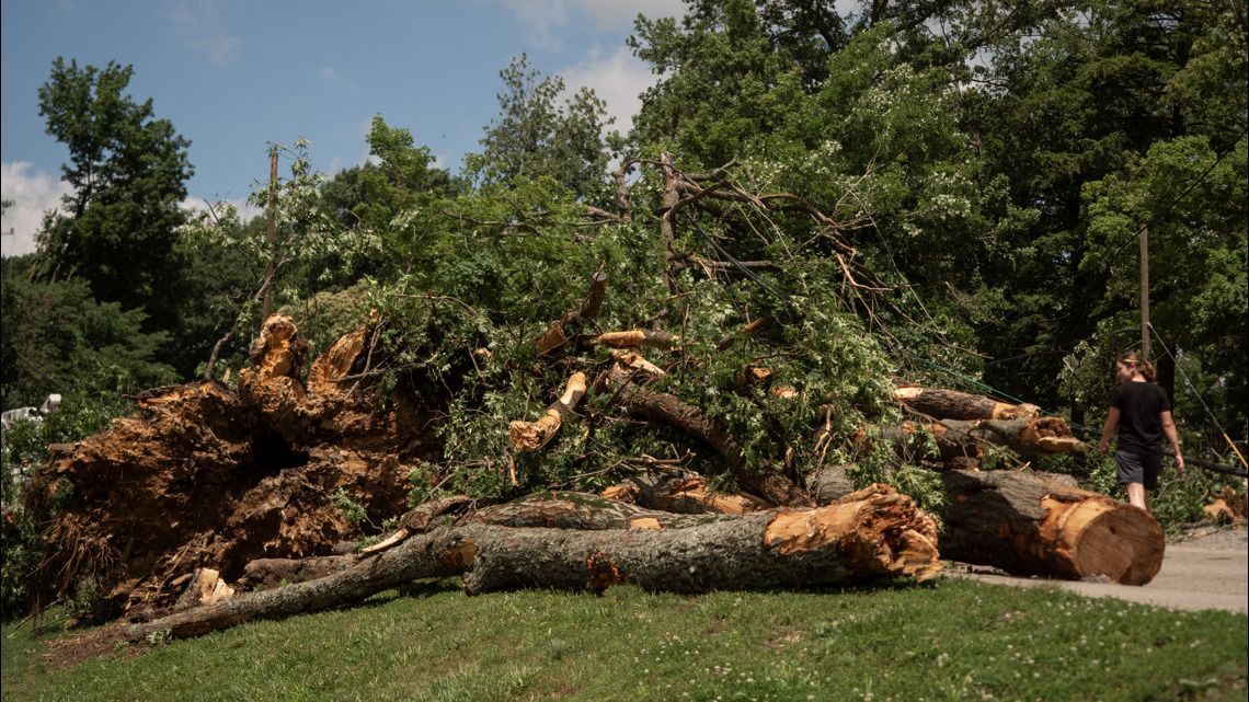 Metro Public Works opens 8 storm debris drop-off sites after weekend ...