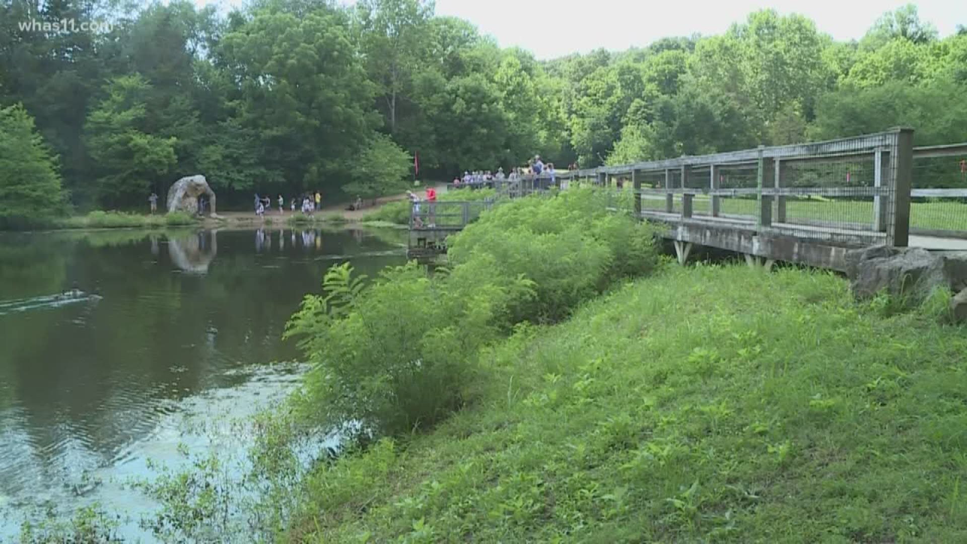 The Bernheim Forest has launched a fundraising campaign in their fight against a proposed pipeline.