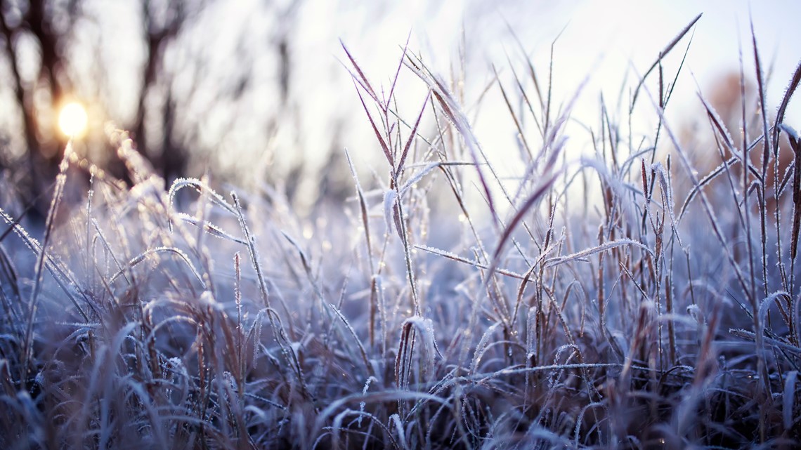 This winter could be slightly warmer in the Ohio Valley - Vimarsana News