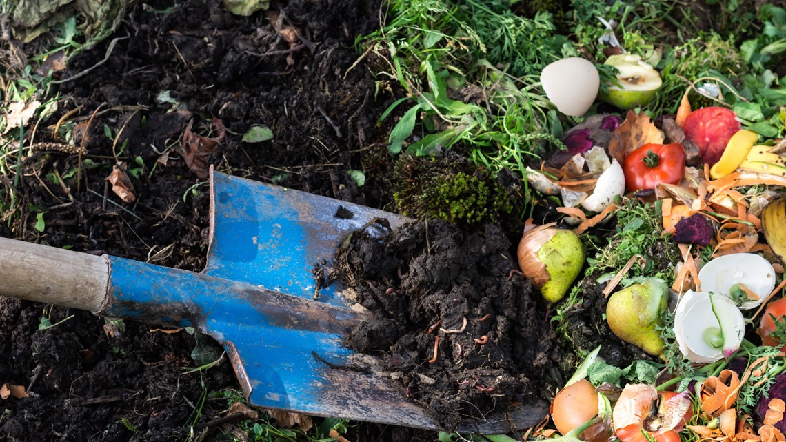 Make double-shelled EVA your home composting bestie