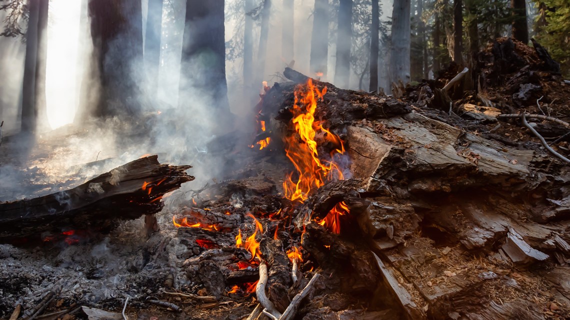 Kentucky debris burning restrictions in effect through April