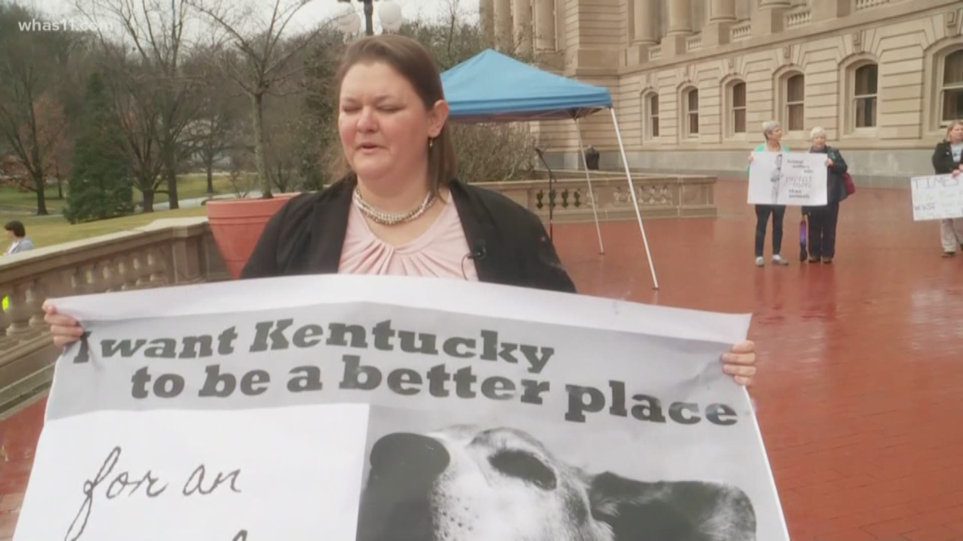 A little bit of rain didn't stop animal advocates from rallying in Frankfort on February 6.