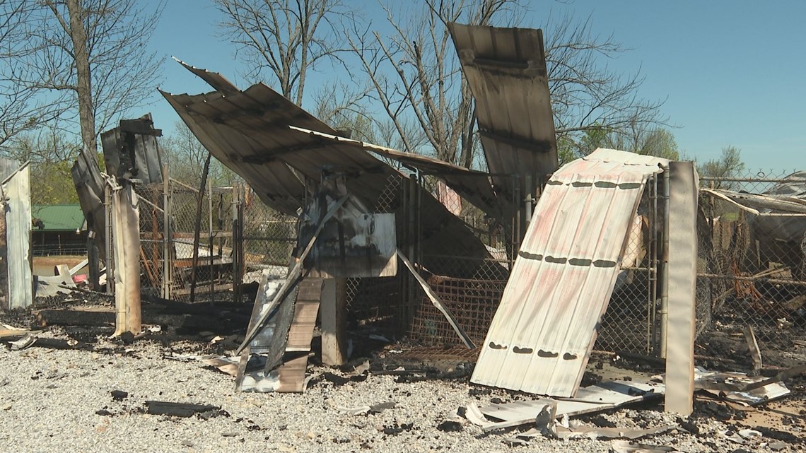 27 dogs, 27 puppies die in kennel fire in Nelson County, Kentucky