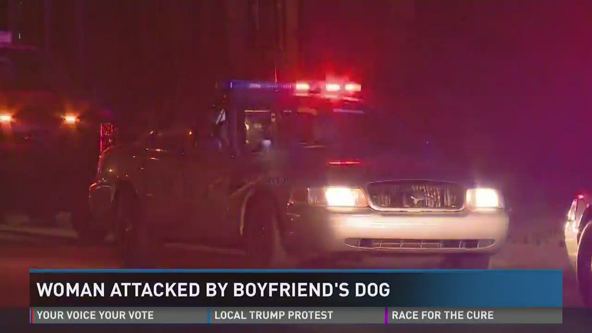 Woman attacked by dog, has significant injuries | whas11.com