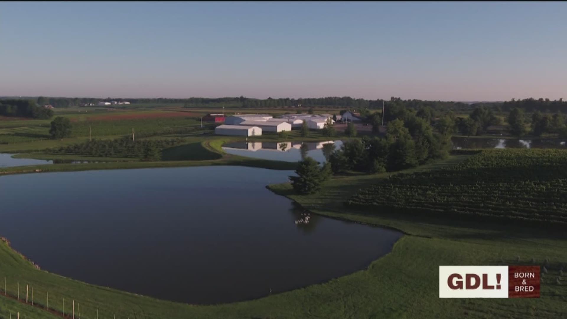 Huber's Orchard & Winery is celebrating their 175th anniversary with stories and reflections by Huber family members who have grown up on the farm.