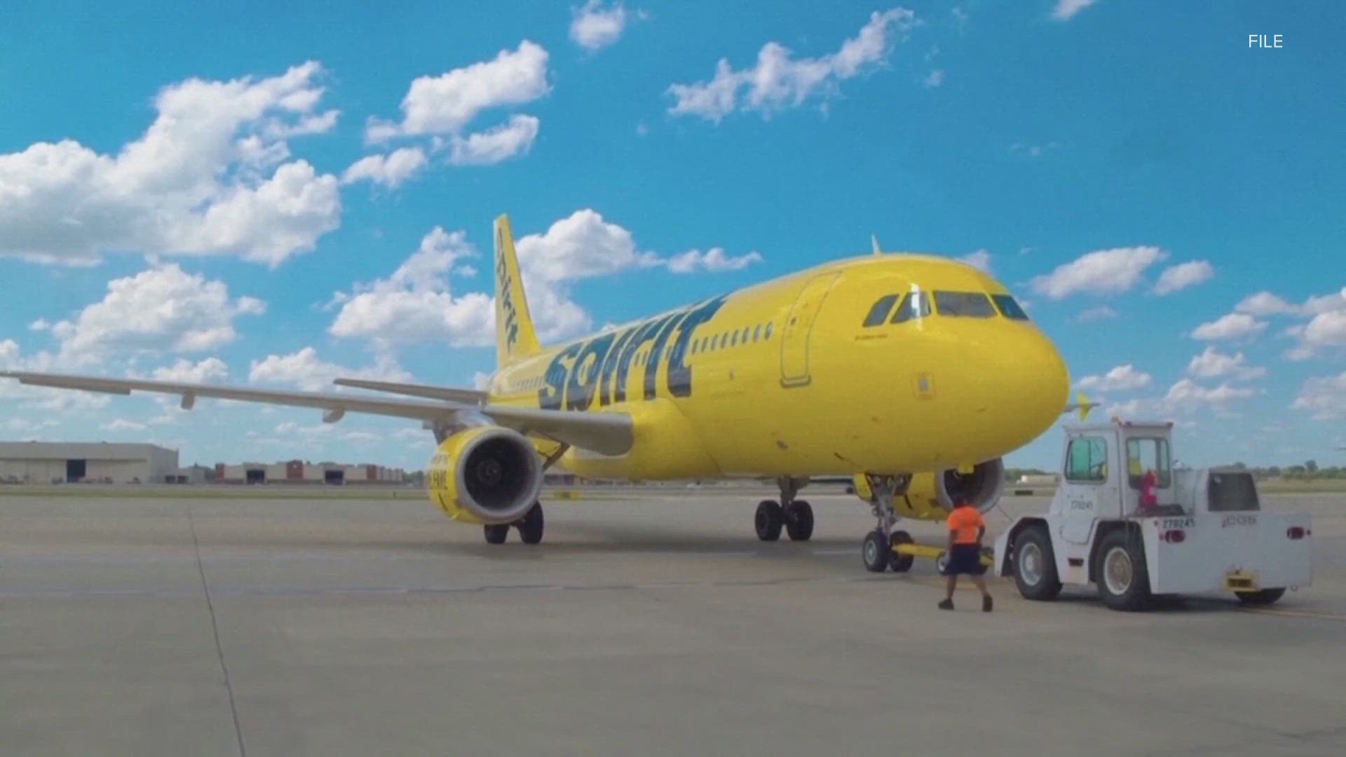 The biggest U.S. budget airline has filed for bankruptcy protection.