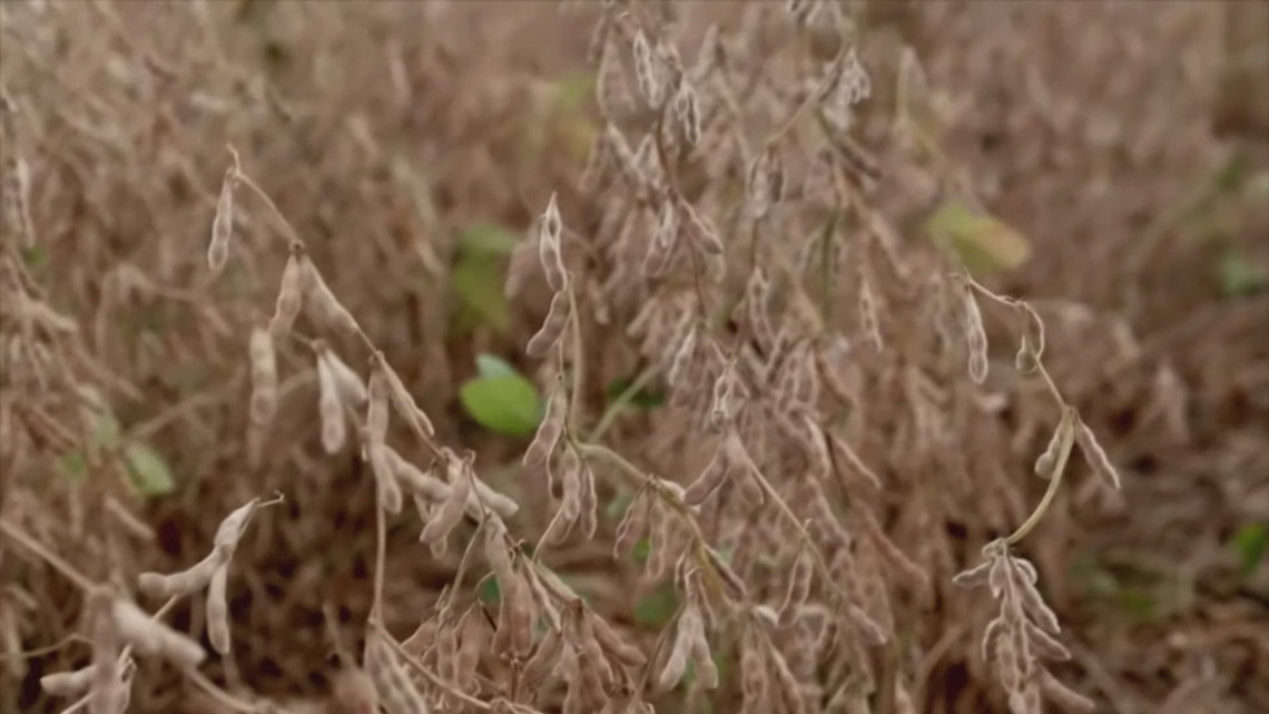 What does Trump's $12B aid package mean for Kentucky farmers?