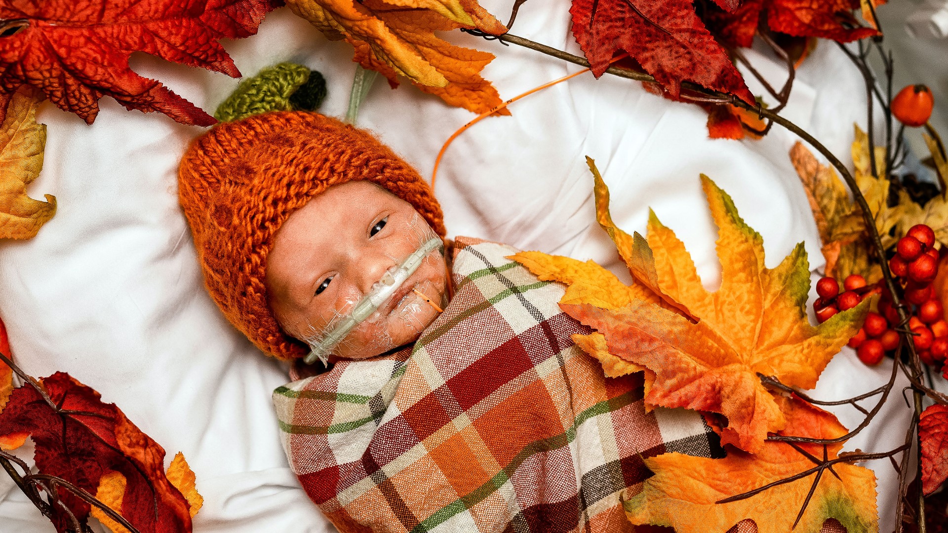 thanksgiving baby photography