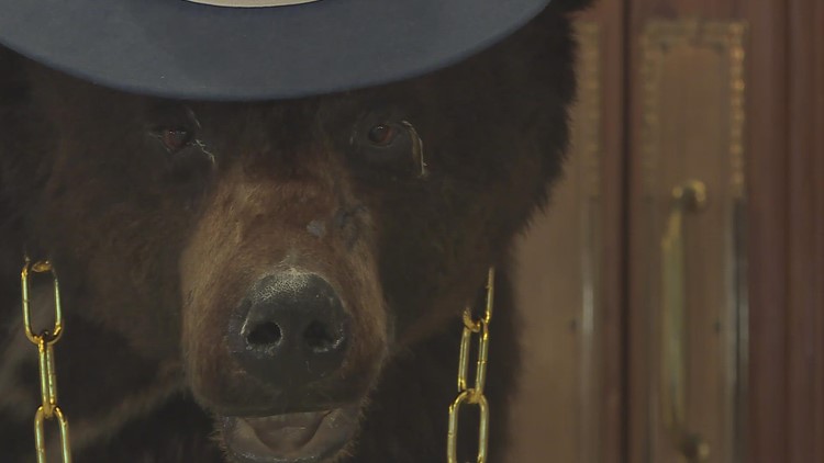 Actual Cocaine Bear coming to arthouse theater in Kentucky