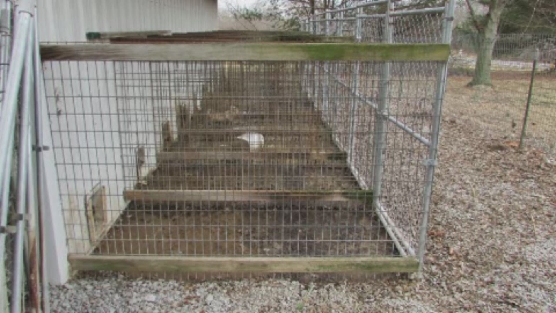 The community demands justice after a Taylor Co. animal abuse case was dismissed.