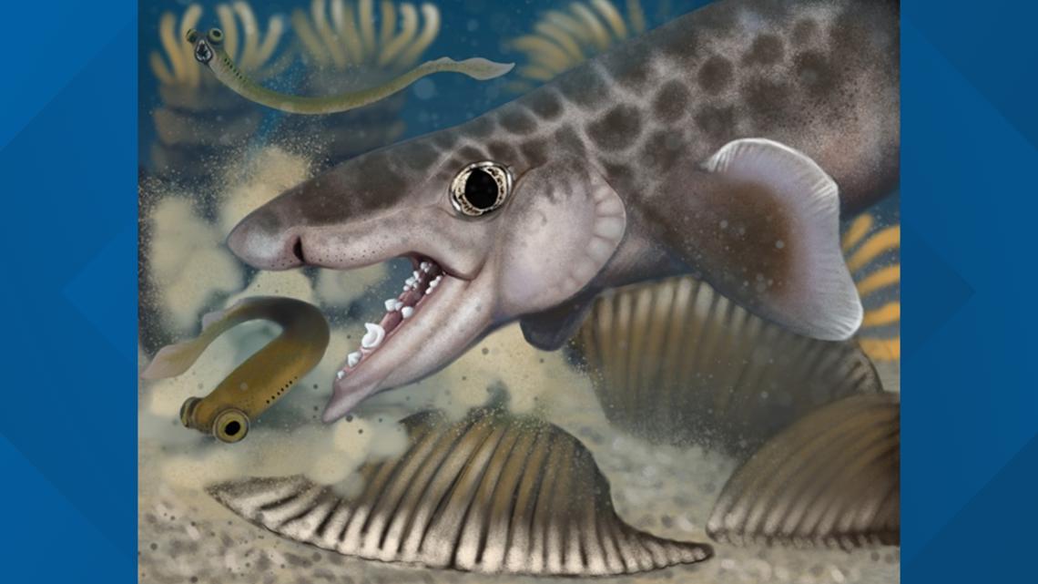Another ancient shark species discovered in Mammoth Cave in Kentucky