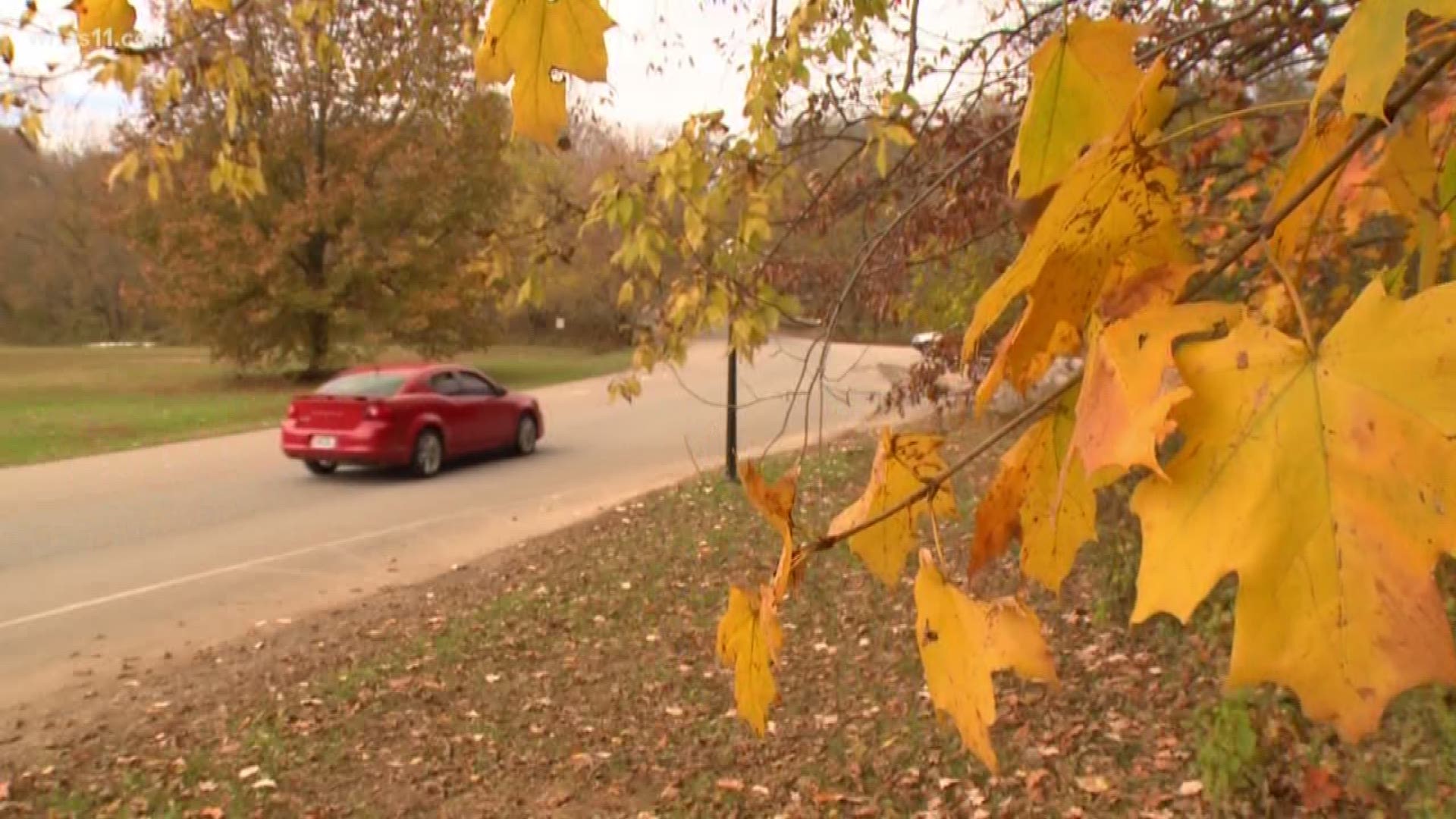 This has been the wettest September recorded - but does more rain cause more colorful foliage? WHAS11's Kaitlynn Fish put that theory to the test.