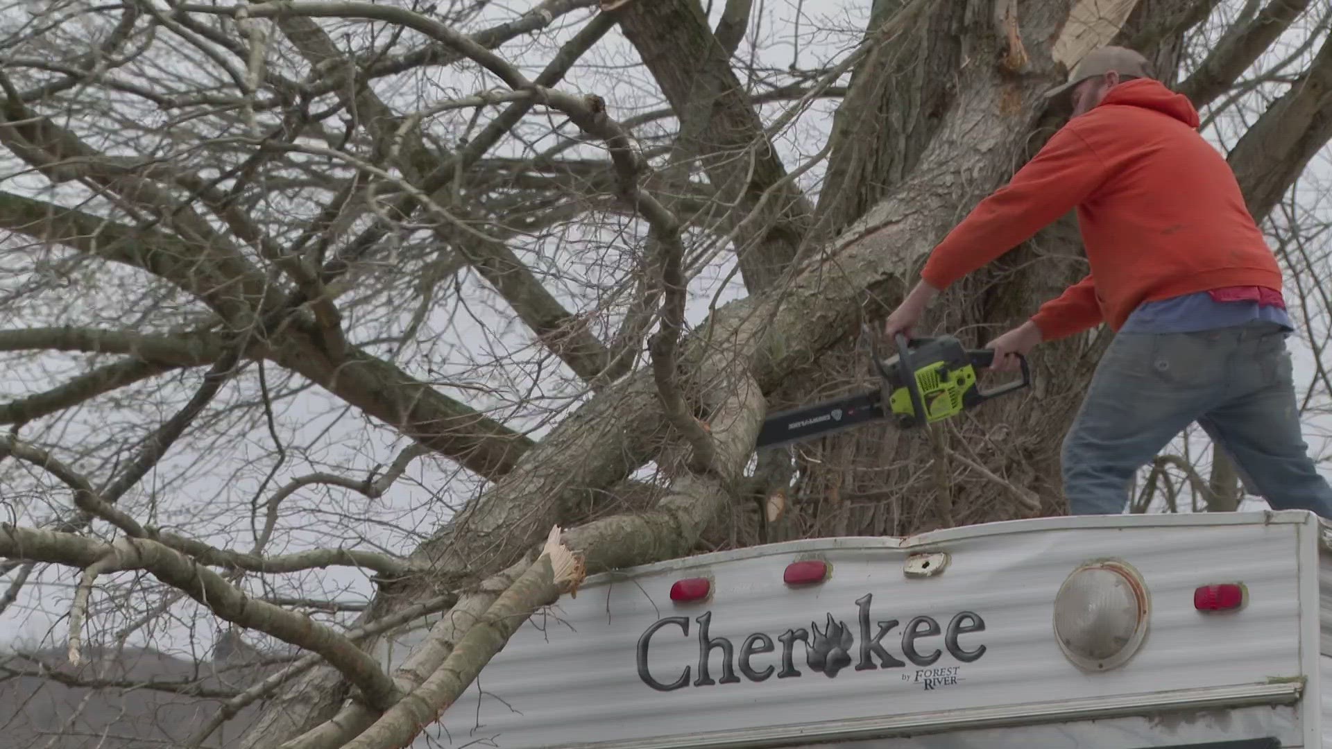 Angie Handlon was watching the news when the wind picked up and a tree branch landed on her home.