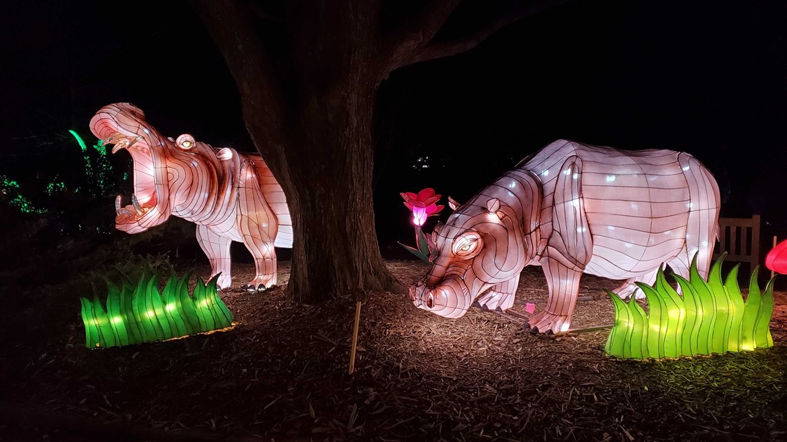 Wild Lights At The Louisville Zoo Literacy Basics
