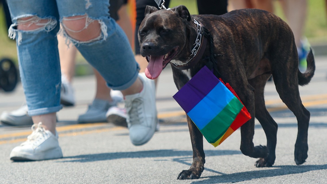 Louisville celebrates Kentuckiana Pride 2023