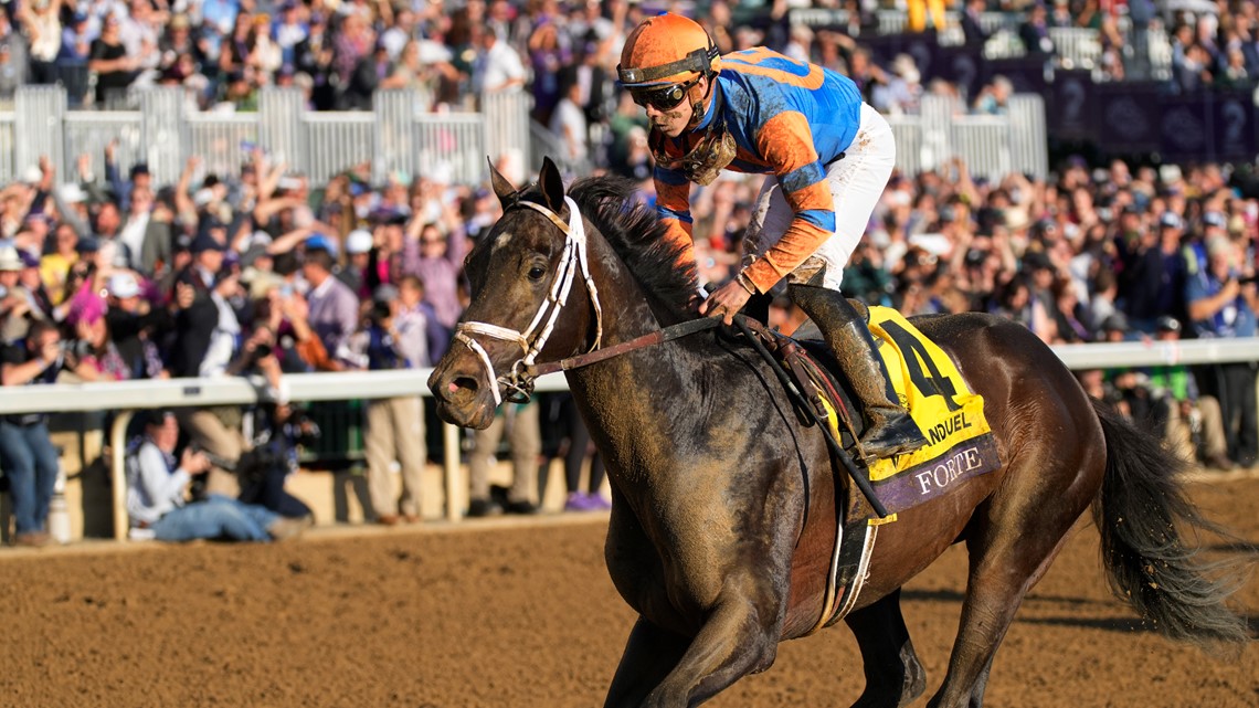 Fifth horse scratched just hours before the Kentucky Derby