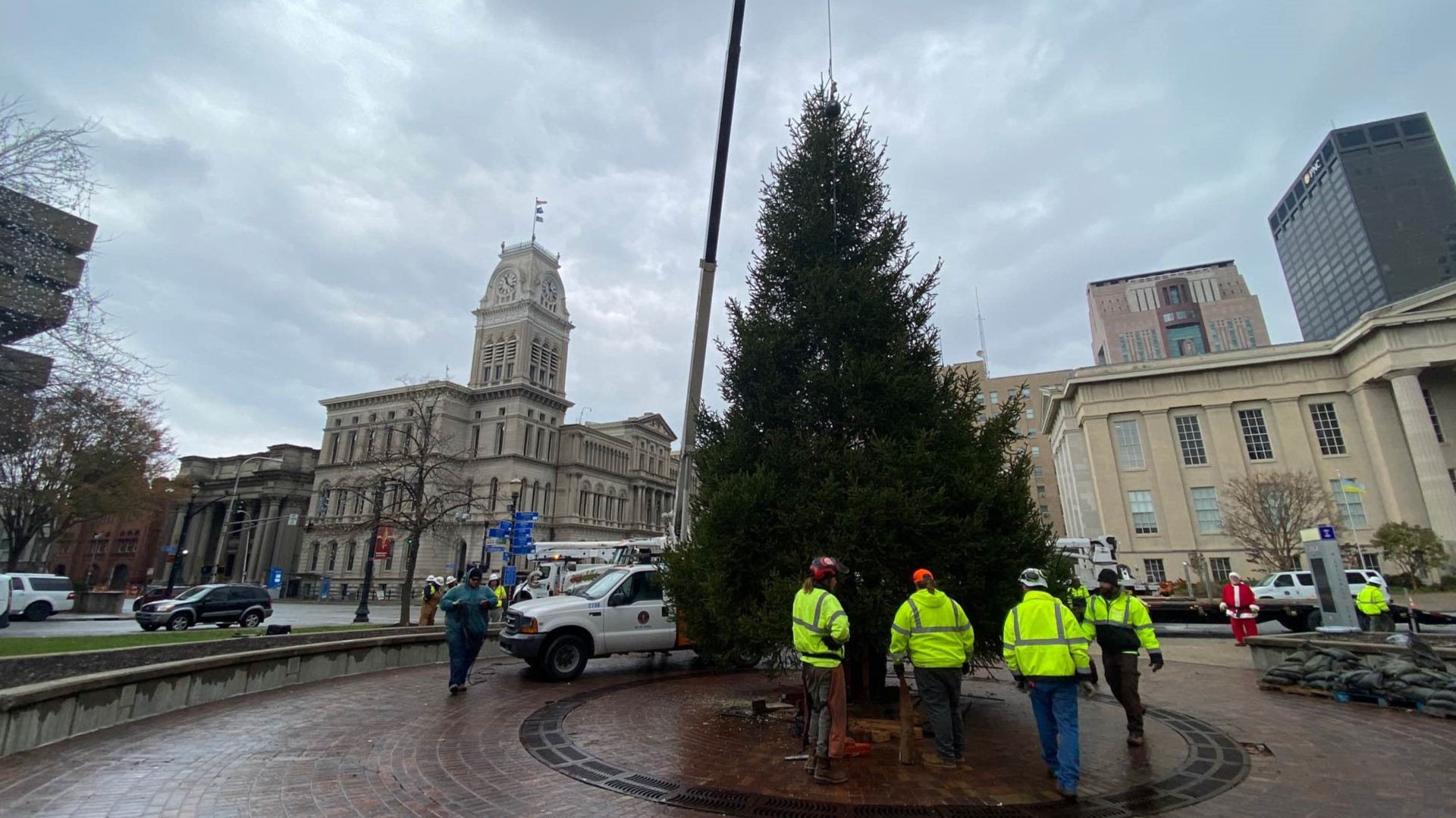 The 35-foot-tall Norway Spruce was donated by a Louisville family in the Parkway Village neighborhood.