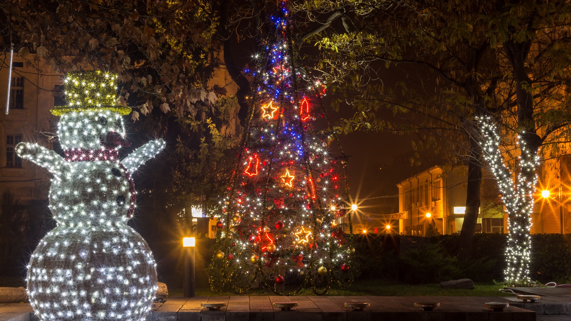 Visit this experience at Shawnee Park this holiday season