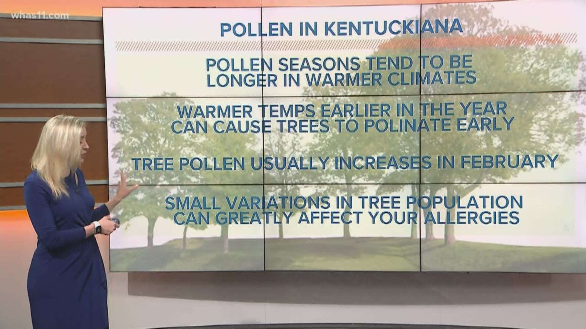 We have a large variety of trees in the Ohio Valley and a climate that allows them to grow and pollinate longer than cooler areas of the country.