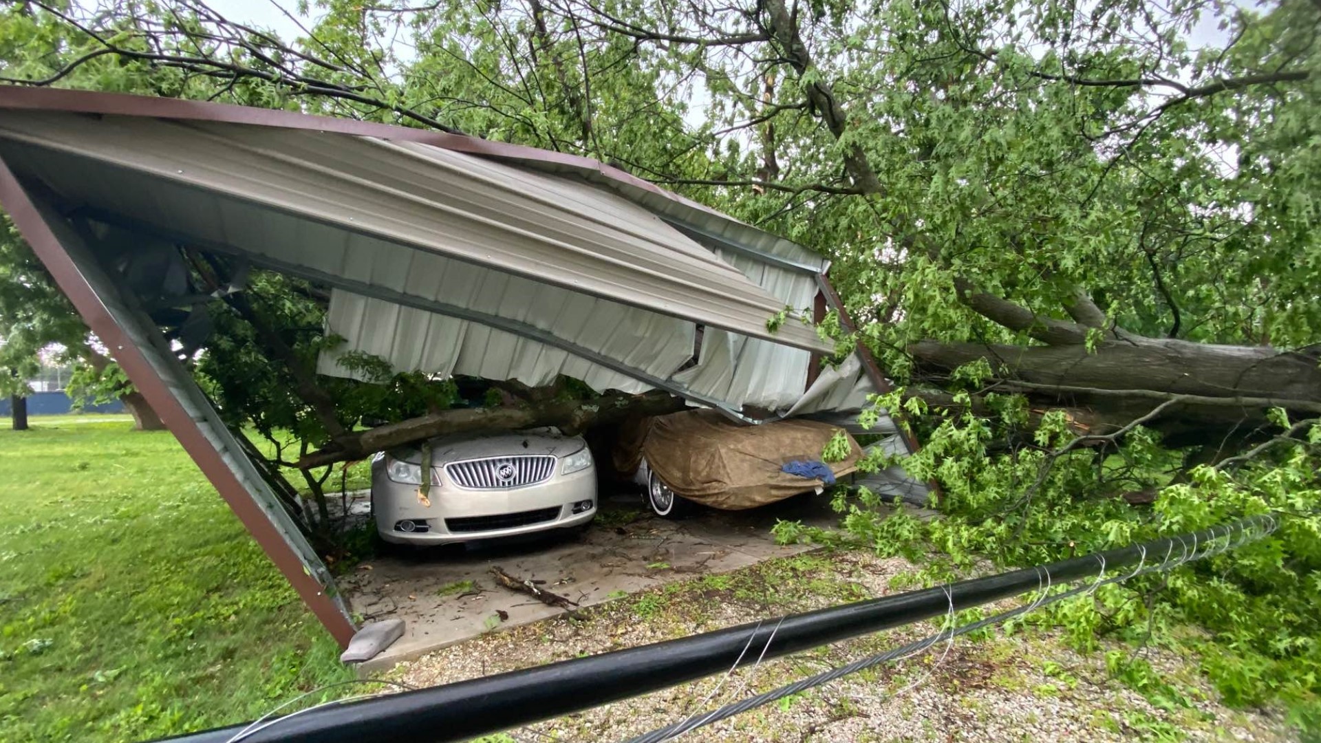 Gusty winds cause downed trees in west Louisville | whas11.com