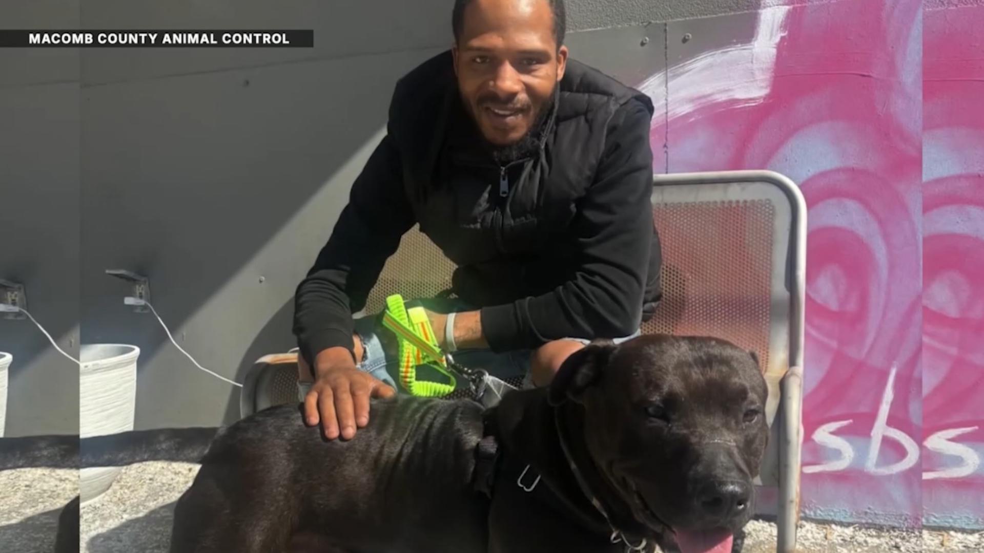 Stolen dog reunited with owner | whas11.com