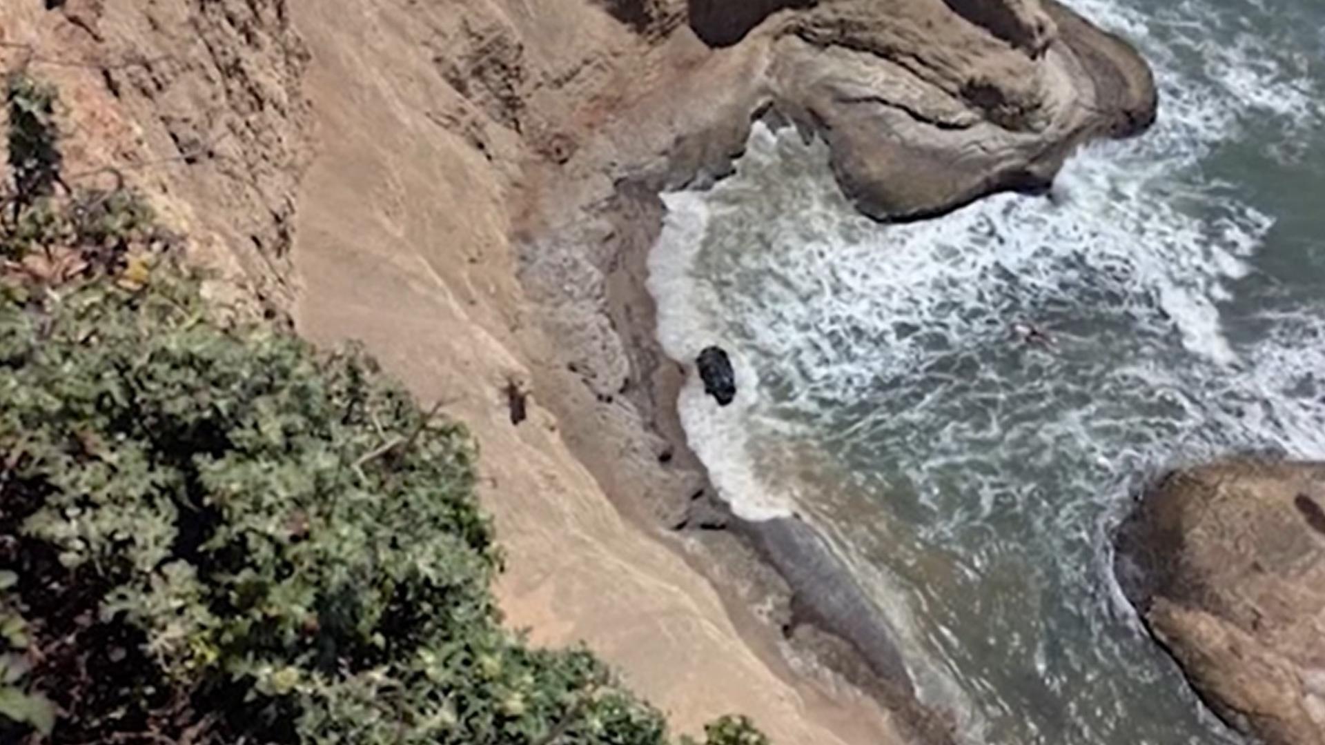 Driver dies after car plunges 400 feet off cliff | whas11.com