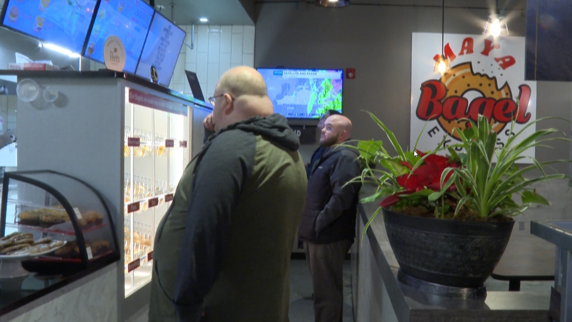 Maya Bagel Express serving New Yorkstyle bagels in Louisville