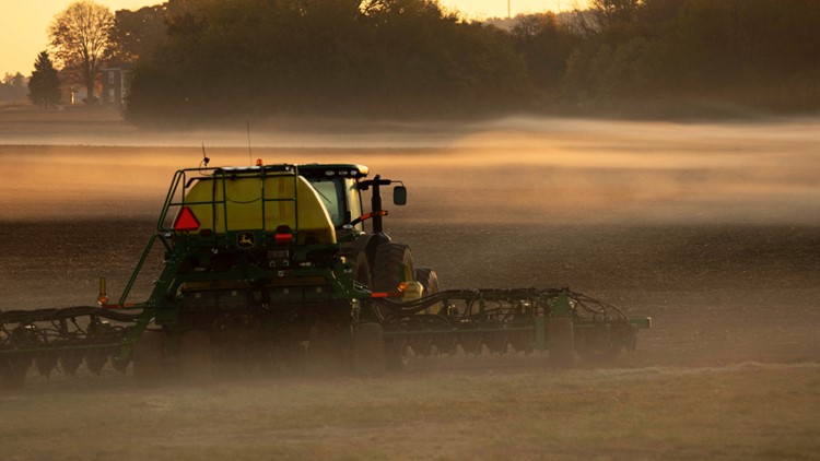 Kentucky farm sector may reap record receipts: Economists