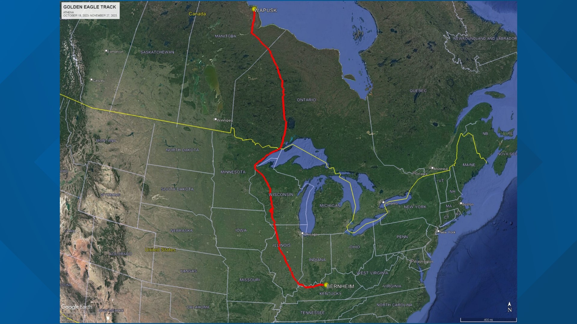 Bernheim Forest’s golden eagle Athena is back. See her 1,700mile