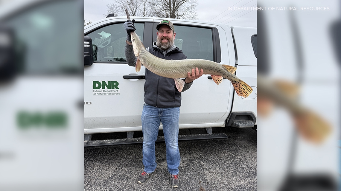 Southern Indiana fisherman catches record-setting longnose gar
