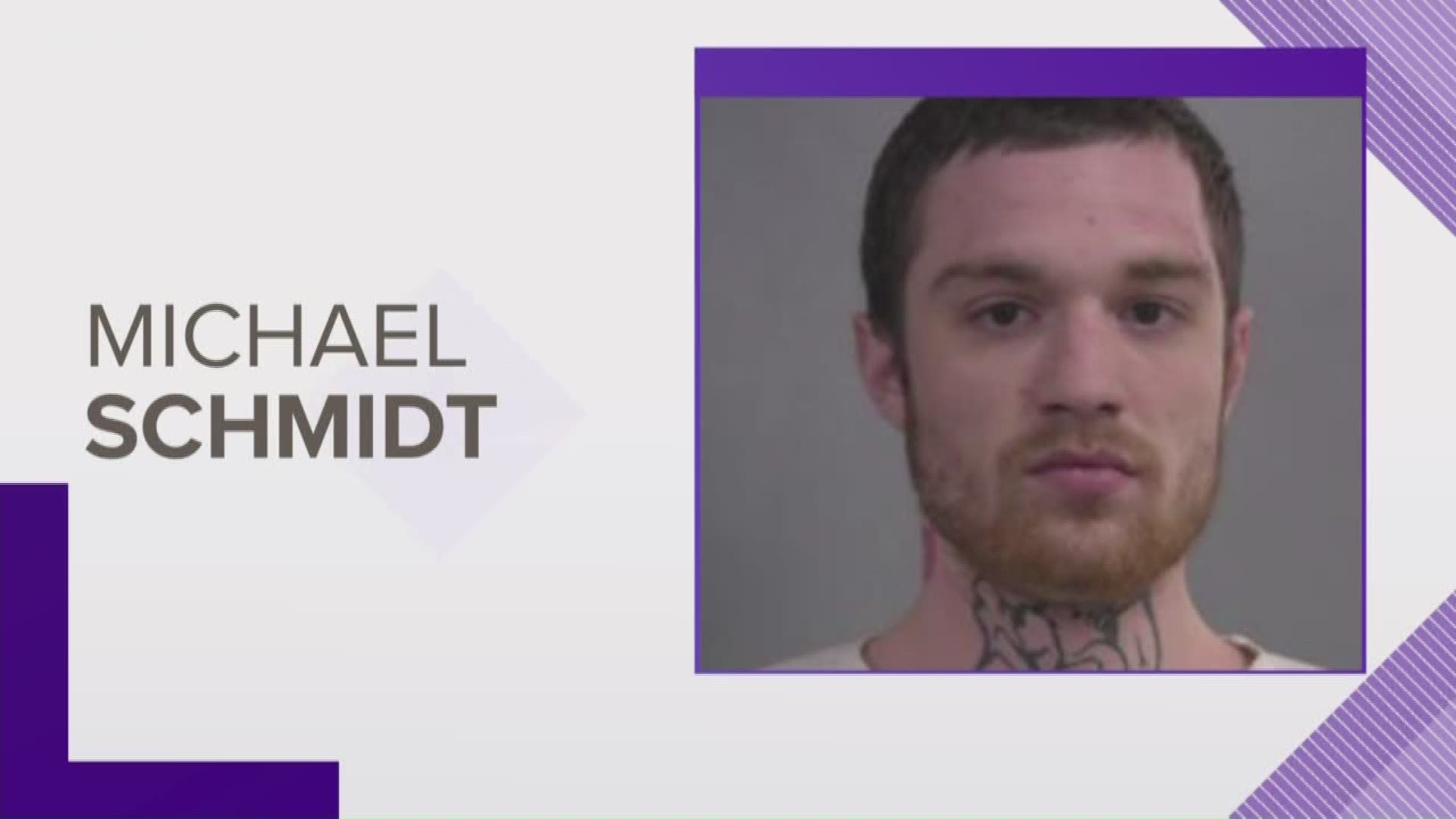 The driver told police that Michael Schmidt had threatened him, telling him not to stop the car.