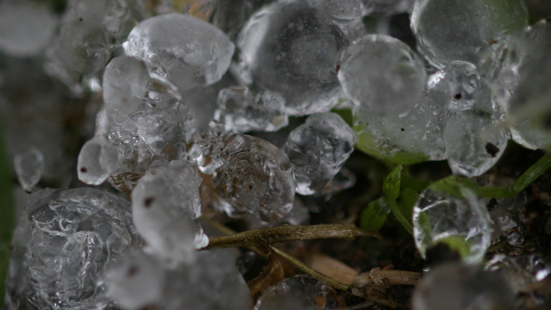 Snow, sleet, freezing rain: WHAS11's Alden German explains the different types of winter weather.