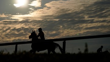 Kentucky Horse Racing Commission hiring safety steward; What the job entails