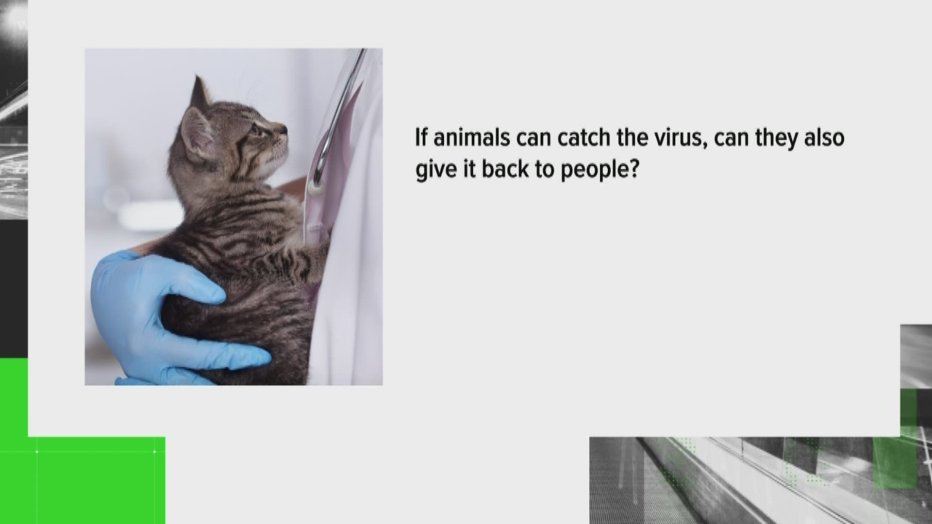 The coronavirus is creating some confusion when it comes to you and your pets. The Verify team is setting out to find answers to your questions.