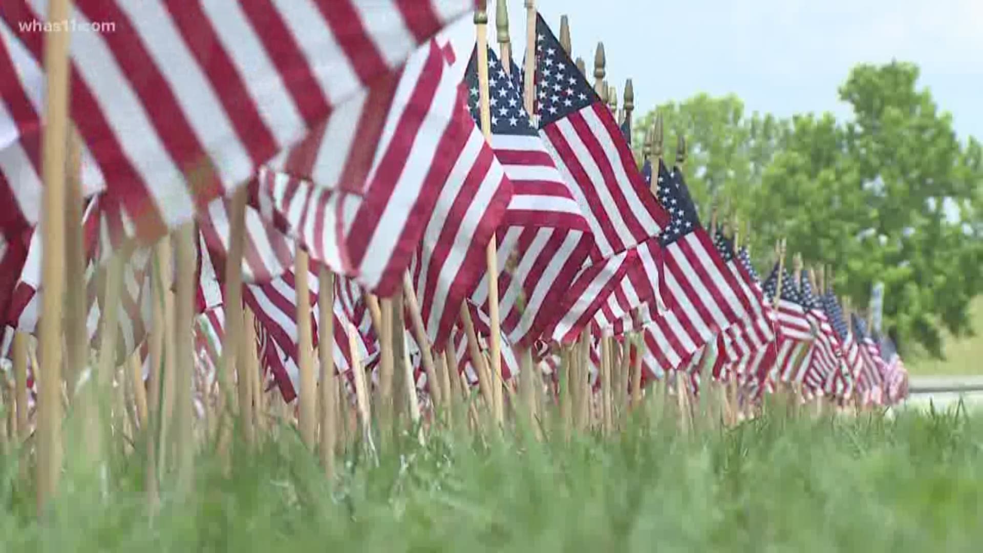 Flags honor vets on Great Lawn