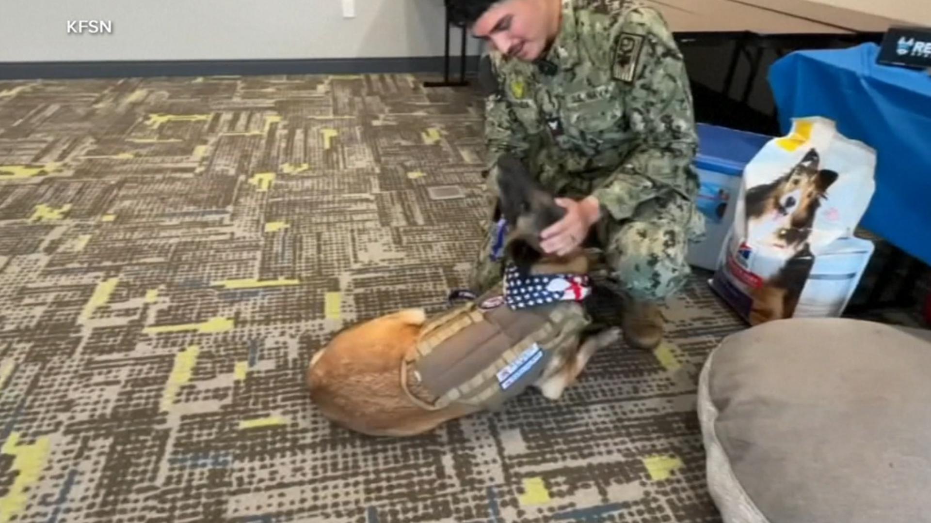 Navy Master-at-Arms Carlos Aranda adopted Donnie after he sustained a leg injury.