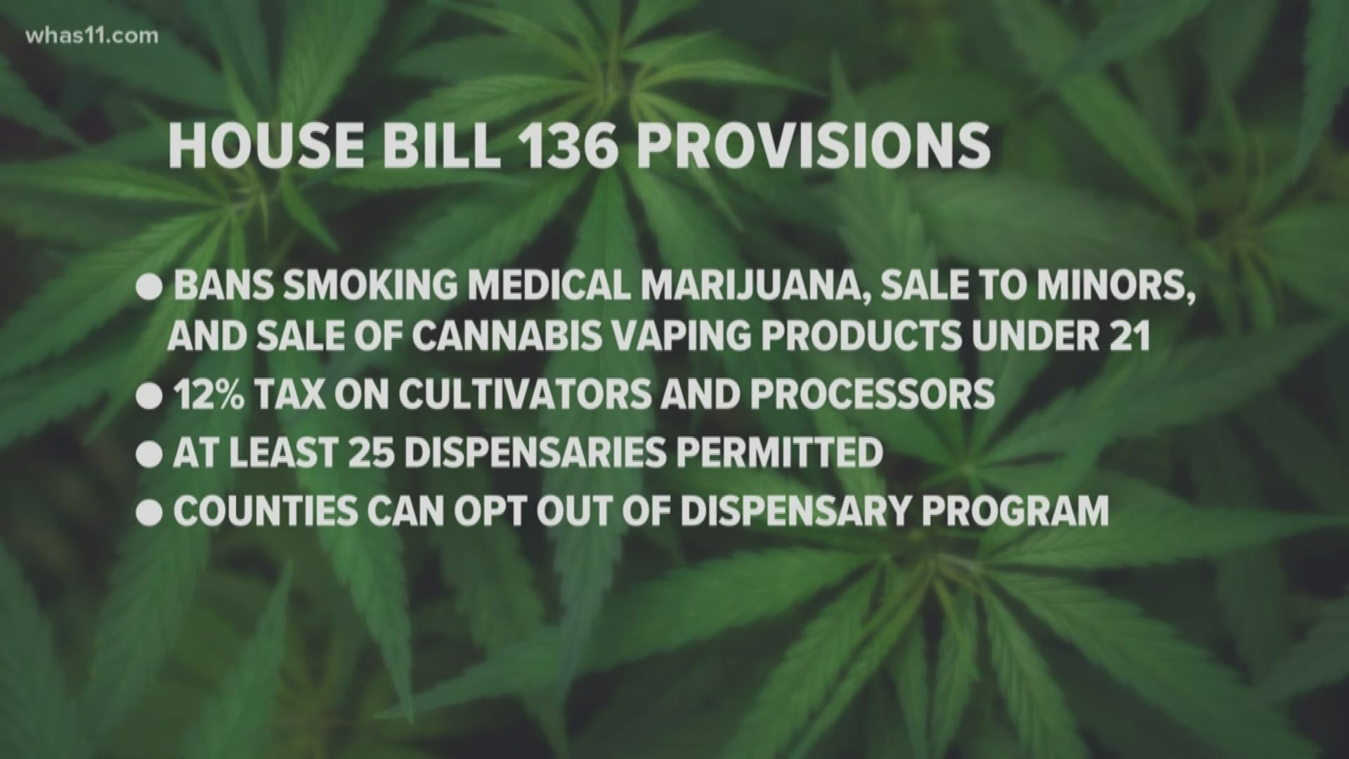 Kentucky's medical marijuana bill faces an uncertain future after that historic House vote.