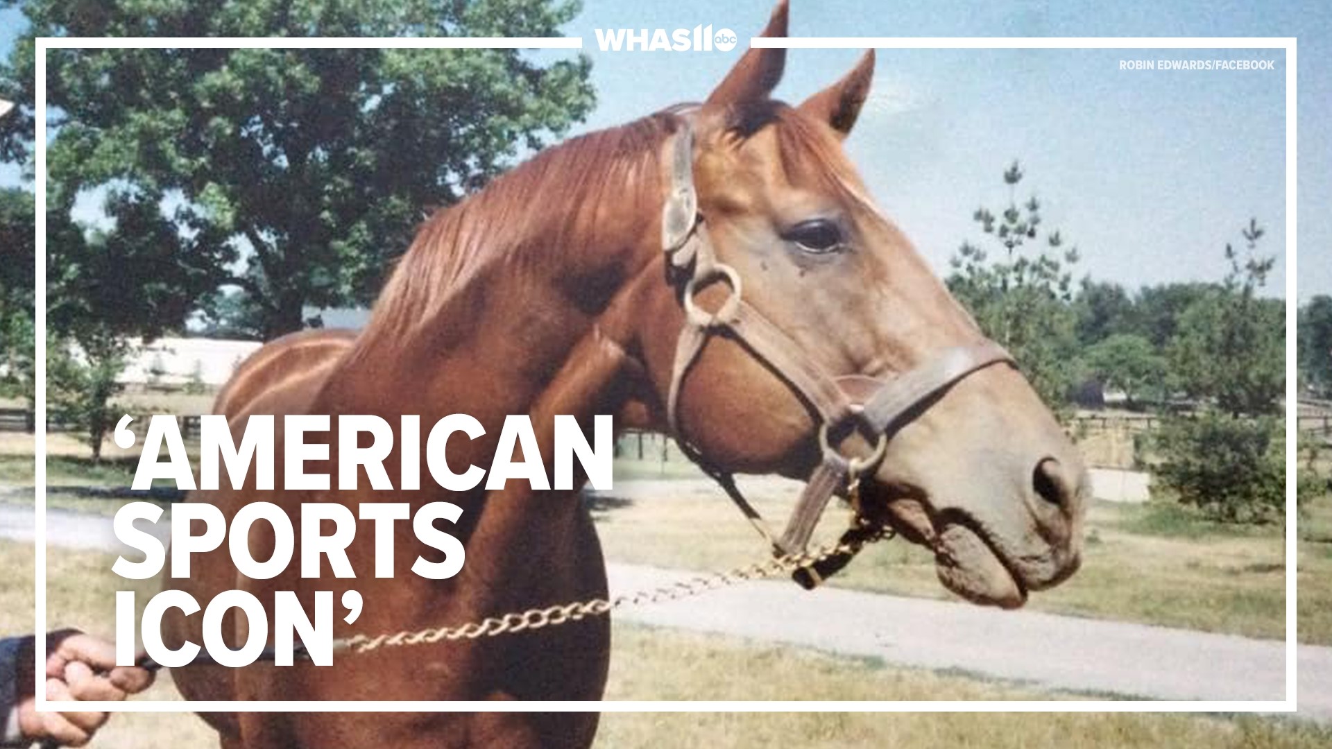 Secretariat's Heart Size: Inside the Tremendous Machine